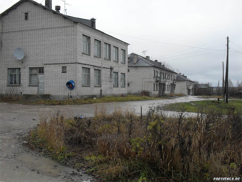 sdc17861