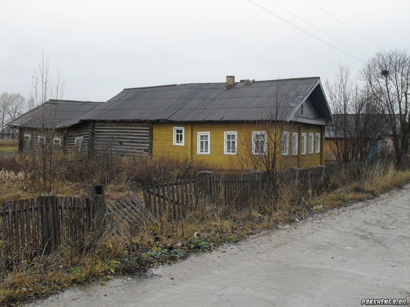 sdc17863