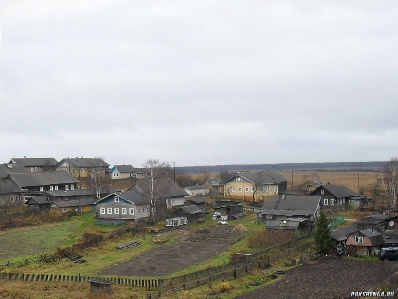 sdc178927