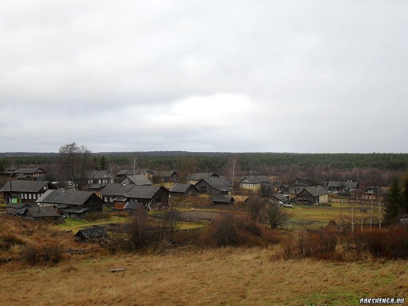sdc17892799