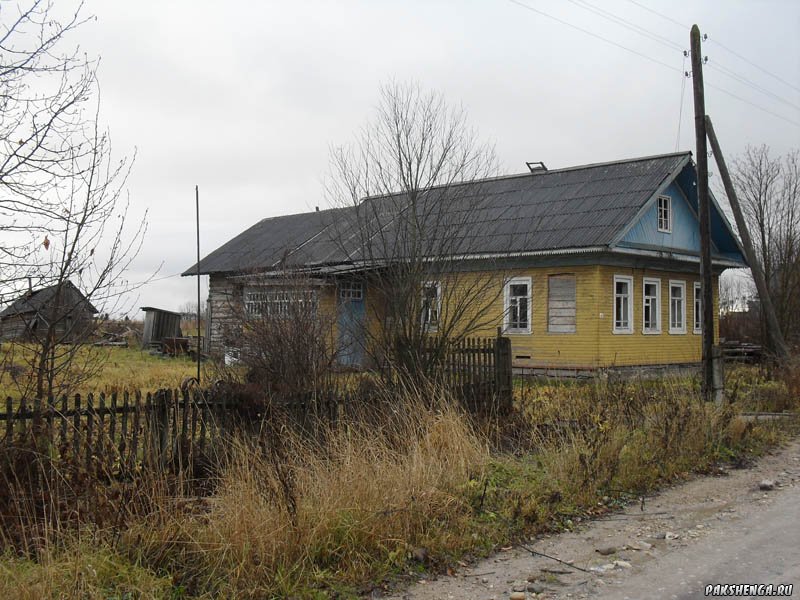 sdc17910