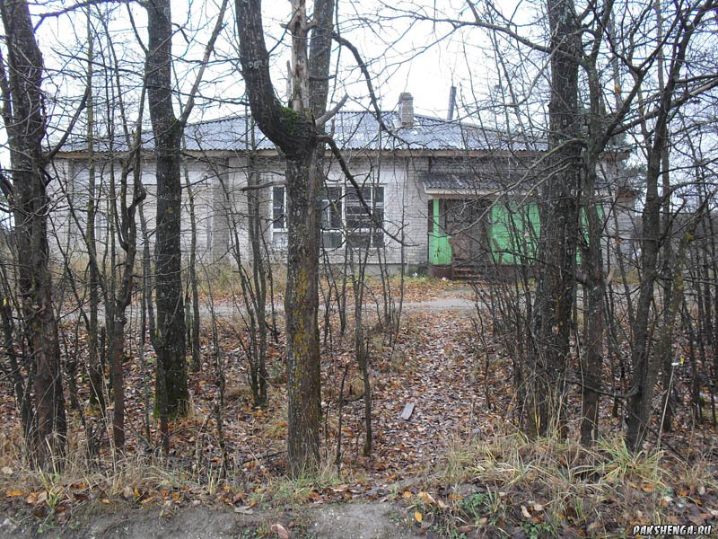 sdc17921