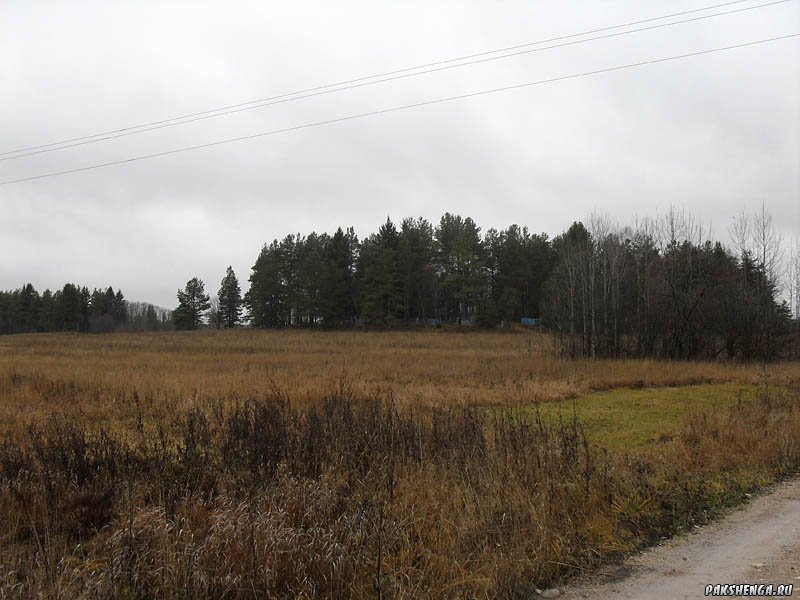 sdc17929