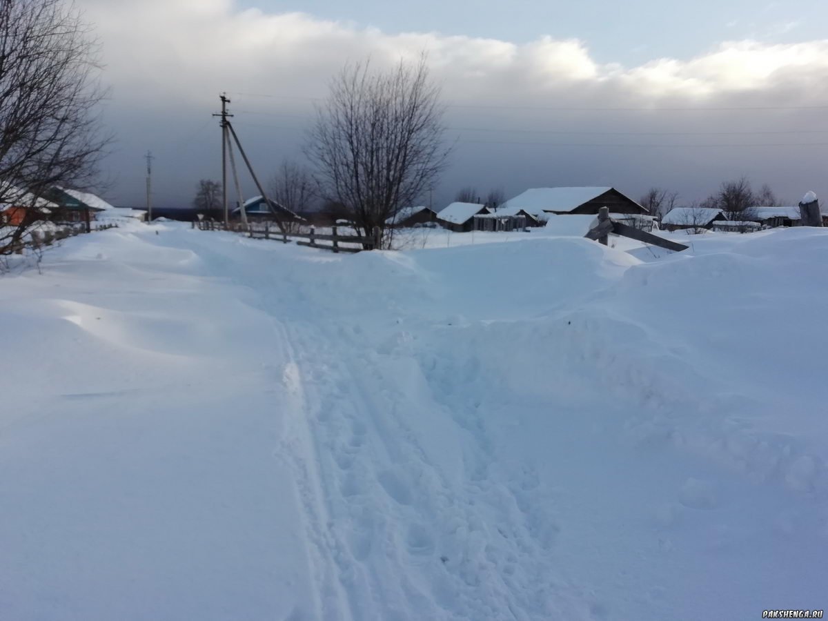Февраль 2019
