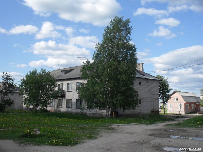 Лето 2011 г.