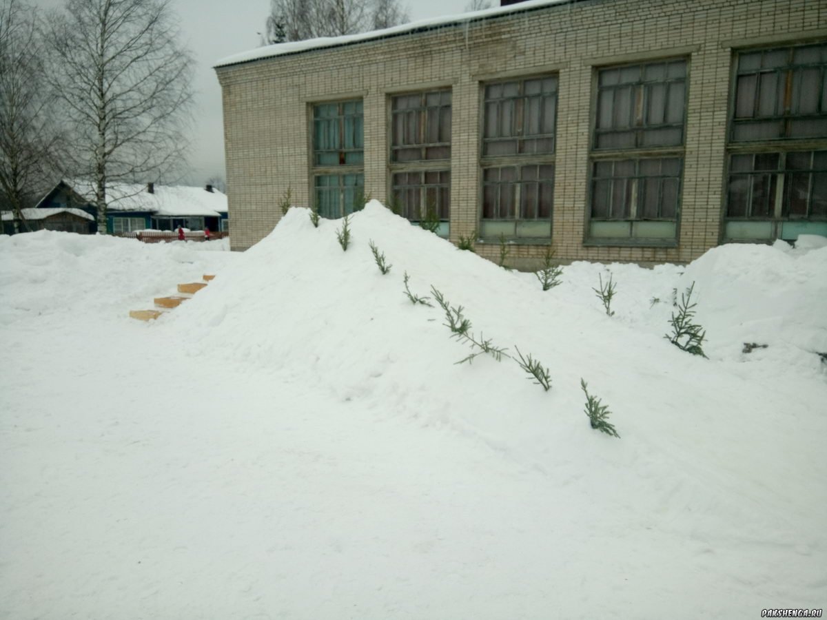 Февраль 2019