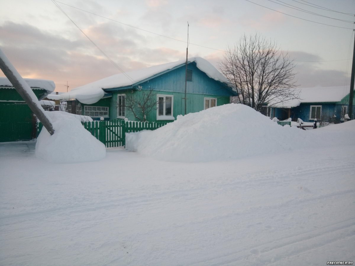 Февраль 2019