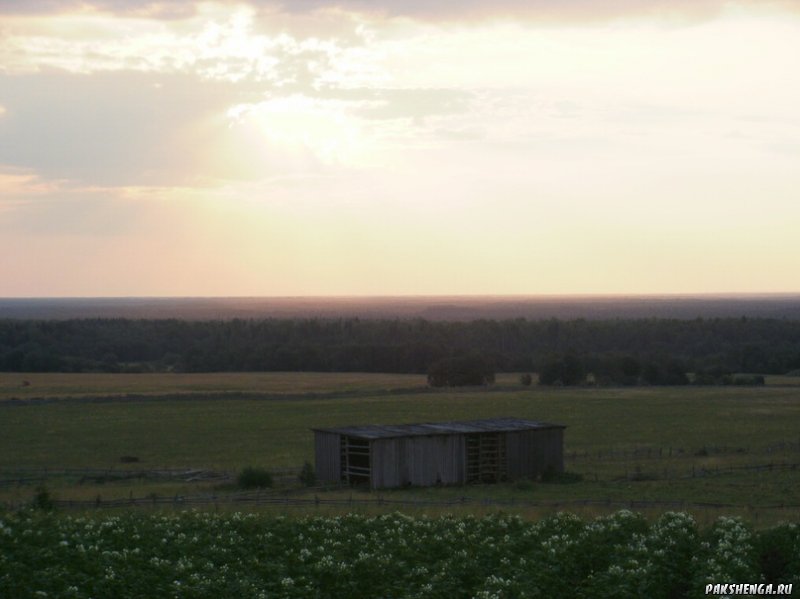 сарай