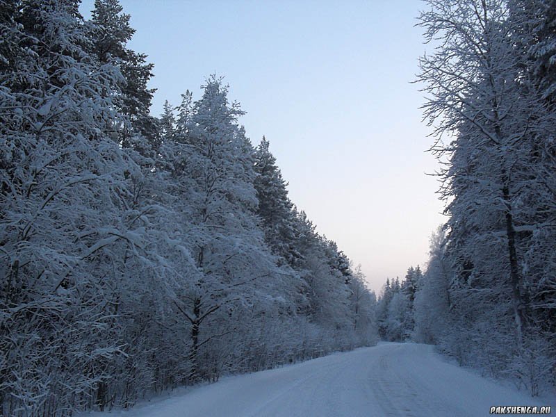 Дорога в Вельск