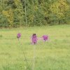 dscn0097_