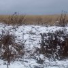 dscn0363