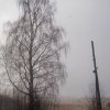 dscn0384