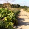 mvi_2359.00_01_17_