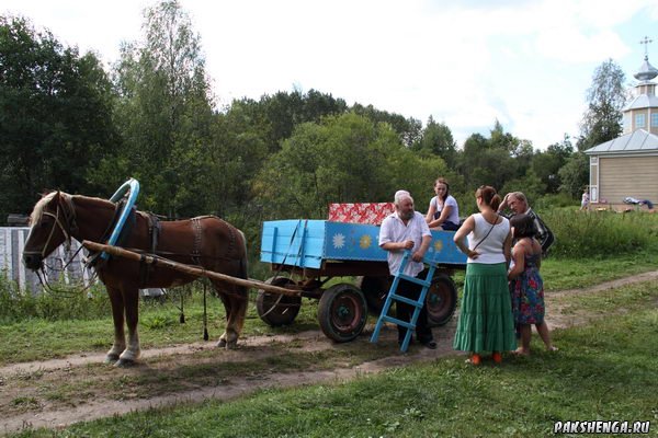 Медовый Спас. 14.08.2014г