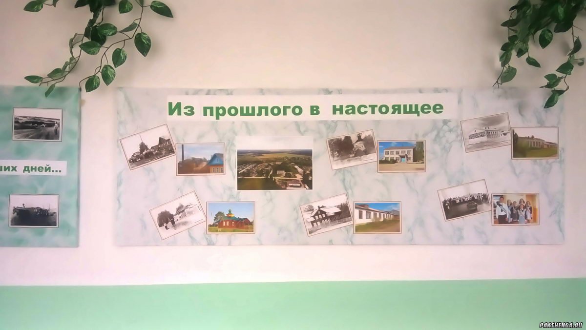 33_dsewfd