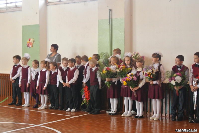 1 сентября 2015 год