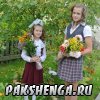 1 сентября 2015 год