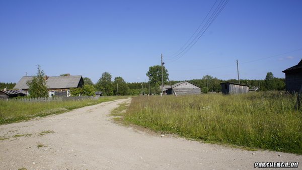 _dsc4303_