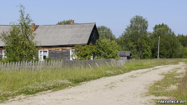 _dsc4305_
