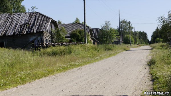 _dsc4309_