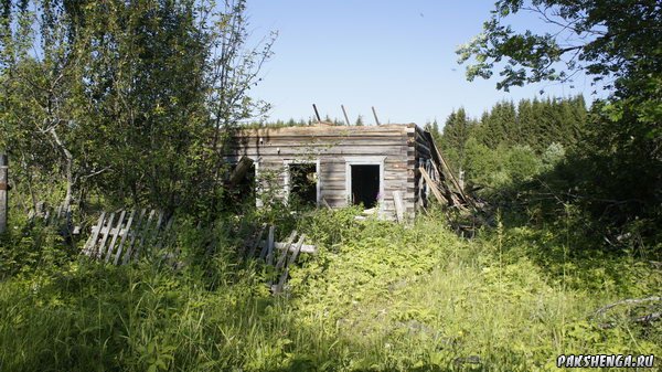 _dsc4350_