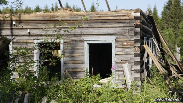 _dsc4351_