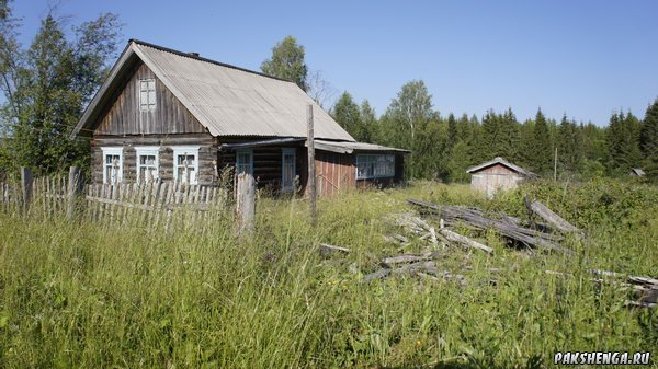 _dsc4352_