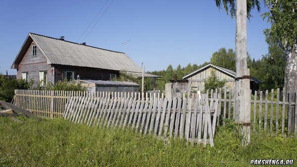 _dsc4353_