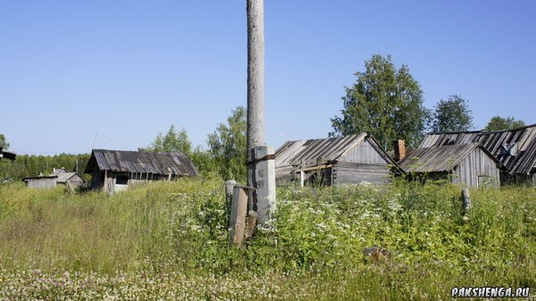 _dsc4387_