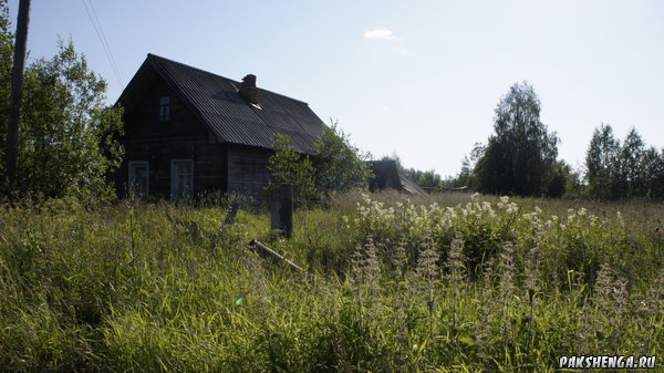 _dsc4408_