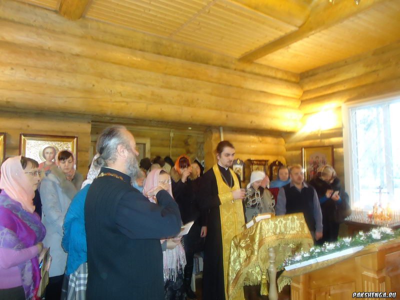 22 ноября 2016 года