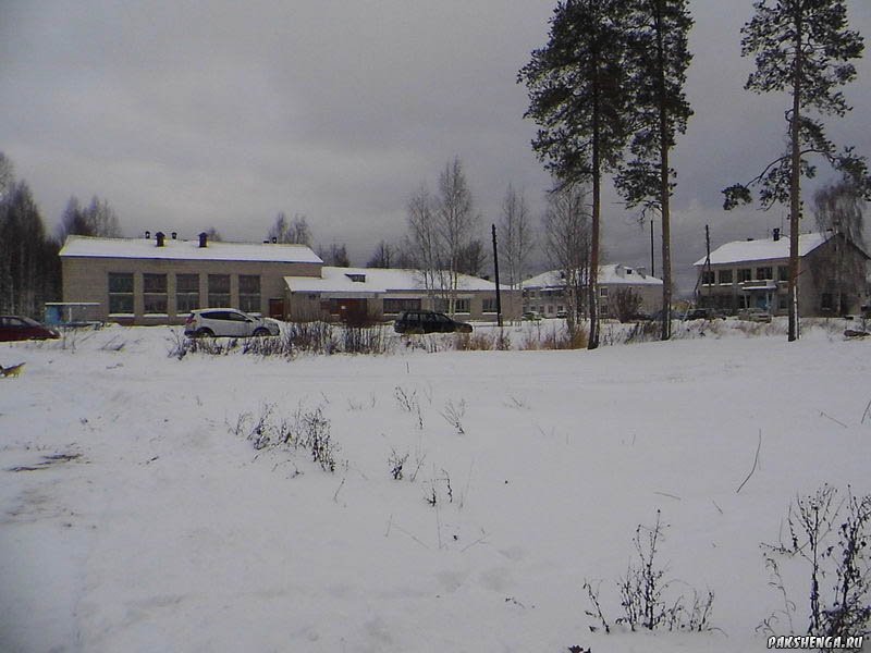 pakshenga-1000661