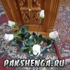dsc03988