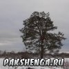 22 ноября 2015 года
